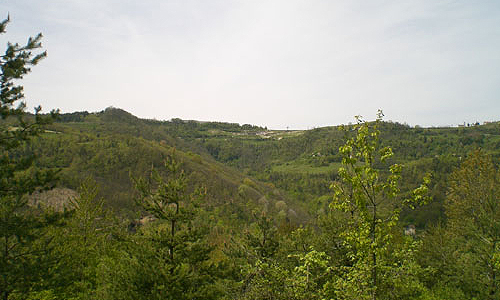 panoramic view